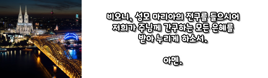천주교 성모 성월 기도문_성월 기도
