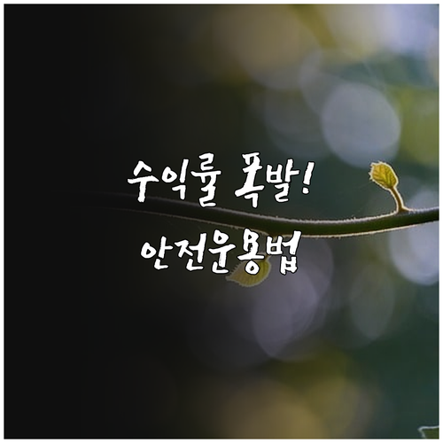 퇴직연금 수익률 높이는 안전자산 운용..