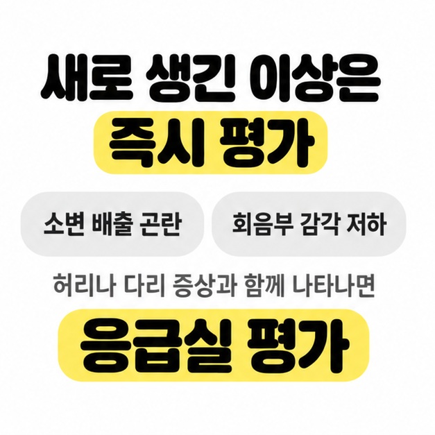소변 배출 곤란이나 회음부 감각 저하가 허리나 다리 증상과 함께 새로 나타나면 응급실 평가가 필요하다고 안내한 카드