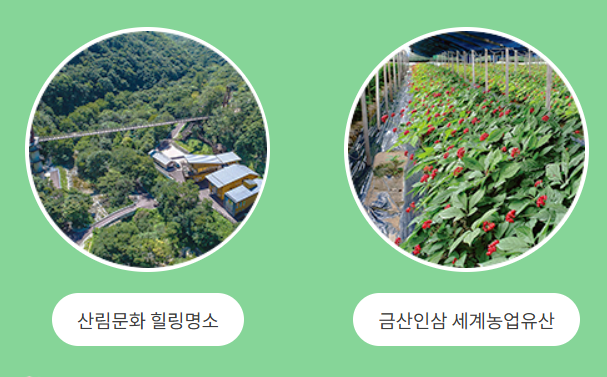 금산자연휴양림 2025 방문 가이드 &amp;#124; 예약&middot;체험&middot;주변 여행 코스