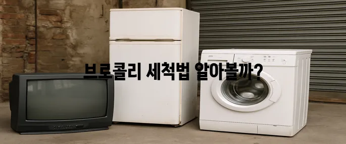 브로콜리 씻는 방법의 모든것