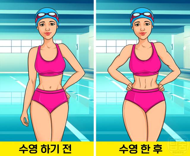 수영 30분 매일 수영효과 수영효능 근육량 당뇨