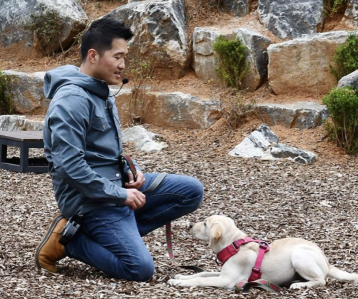 반려동물행동지도사