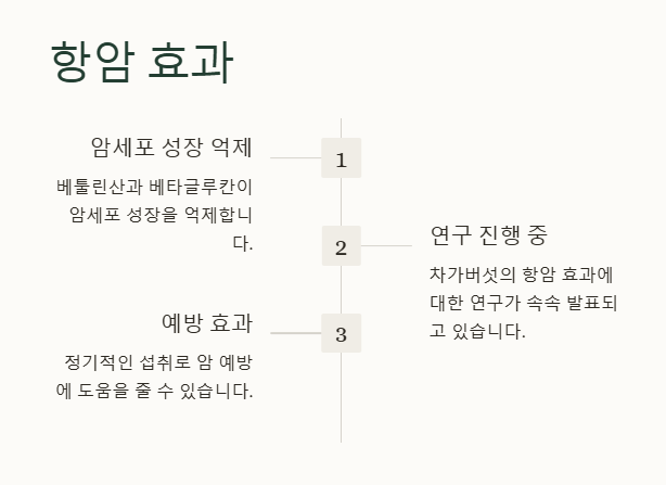 차가버섯의 주요 효능&amp;#44; 항암 효과
