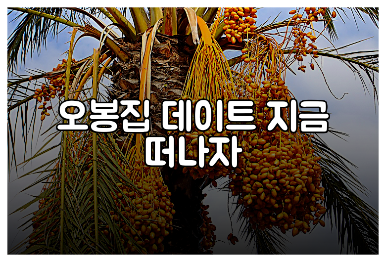 오봉집 데이트 지금 떠나자