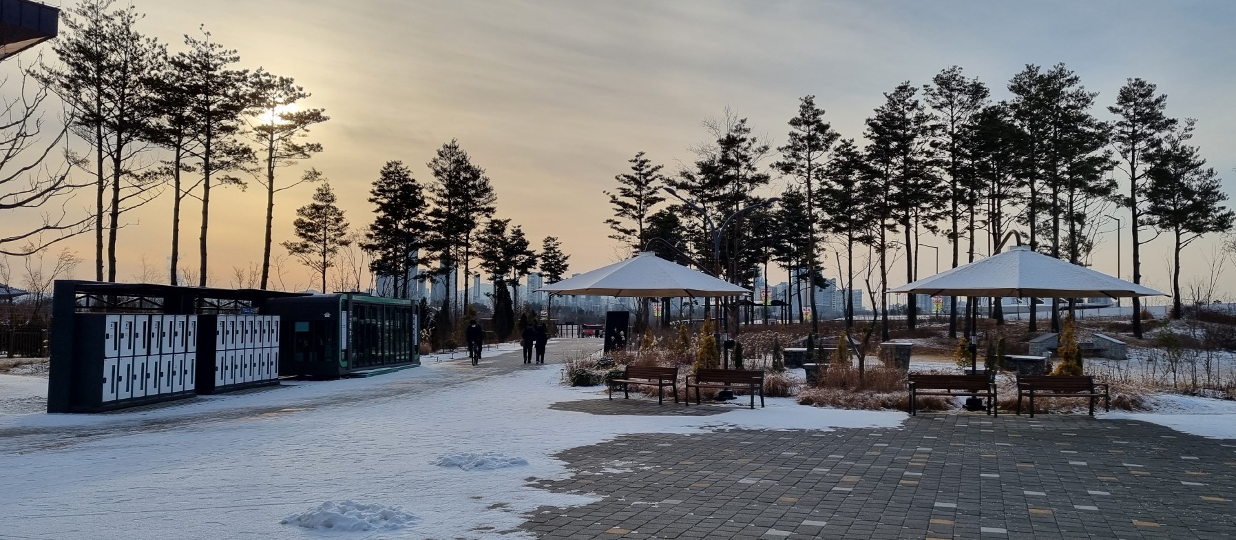 세종 국립 수목원