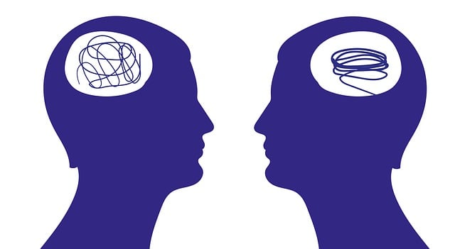 모야모야병 원인 증상 진단 가이드