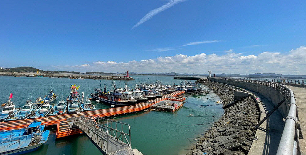 서천 쭈꾸미 축제 가격 맛집