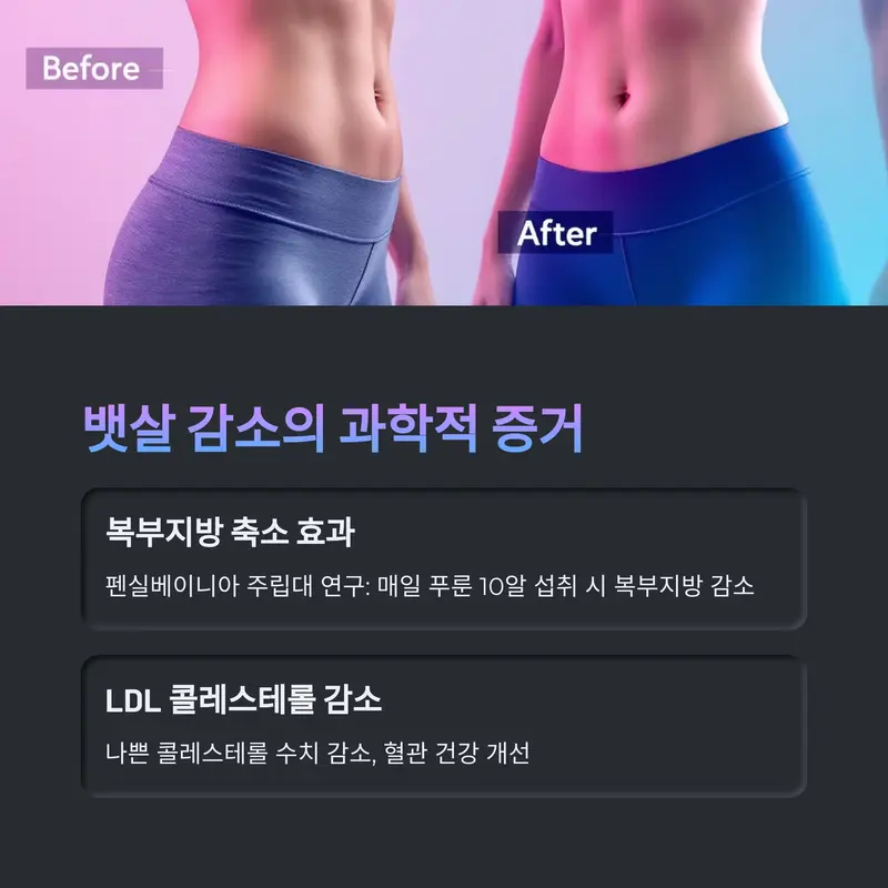 푸룬 섭취 전후의 복부 사진 비교, 뱃살 감소 효과 설명