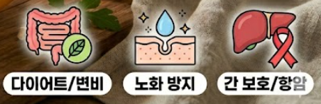 참외 효능