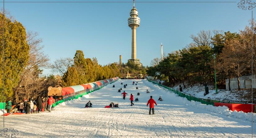 2026 대구 이월드 눈썰매장 할인 꿀팁! 네이버 예매로 59% 저렴하게 가기