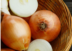 개가 카레를 먹어도 (핥아도) 괜찮을까? 양파 중독이나 향신료 주의!