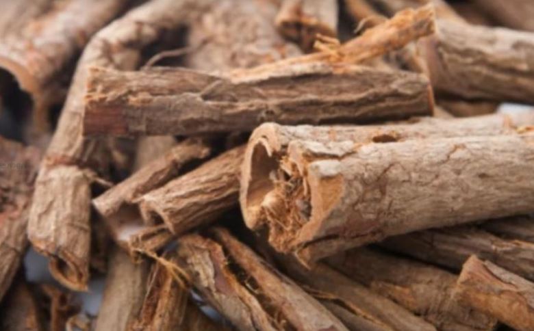 비염에 좋은 차