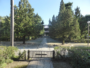 교토 여행 추천 겐닌지