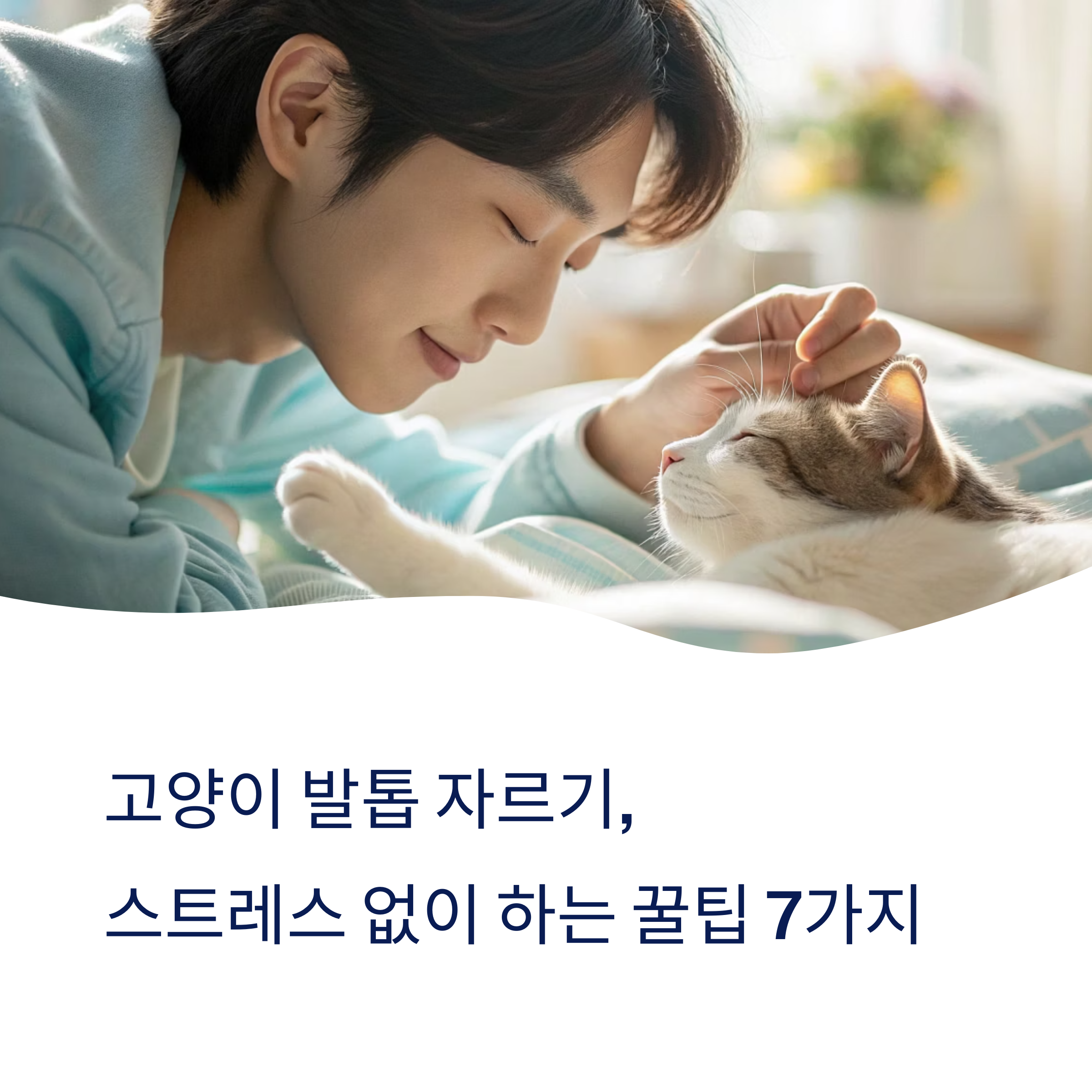 고양이 발톱 자르기, 꿀팁 7가지