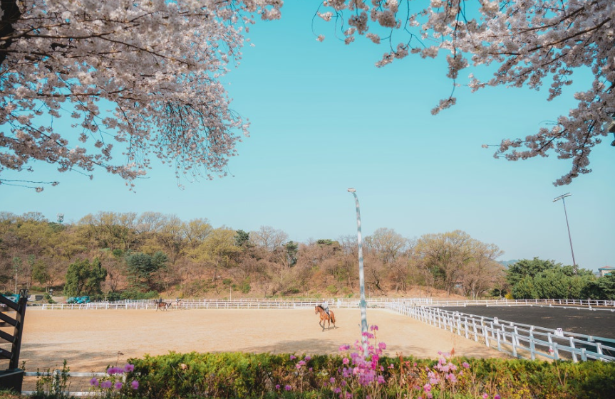 실내마장 (말랑말랑존)2