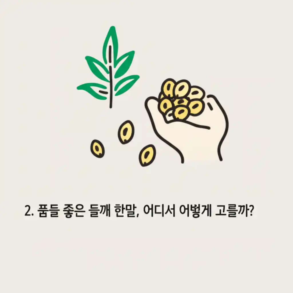 2. 품질 좋은 들깨 한말 고르기: 깨끗하고 통통한 들깨 씨앗을 확대하여 보여주는 이미지.