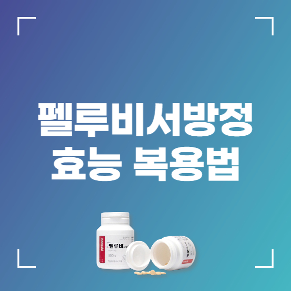 펠루비 서방정 45mg 효능 올리고 부작용 낮추는 복용법