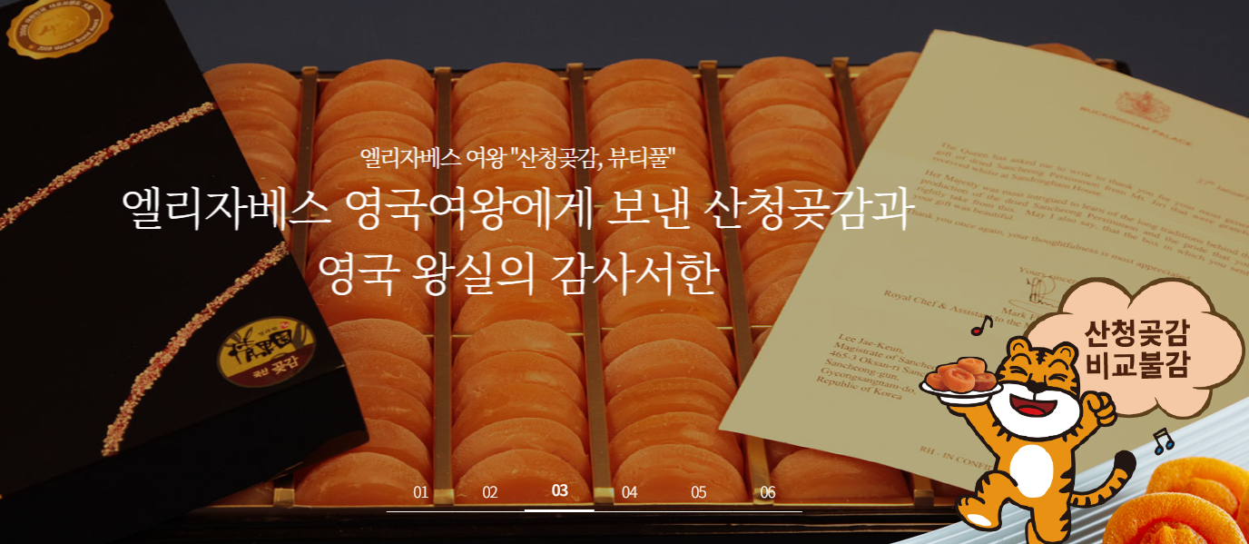 1월 축제일정표 여긴 꼭 가야해