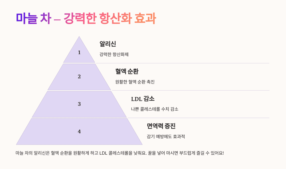 마늘 차 &ndash; 강력한 항산화 효과
