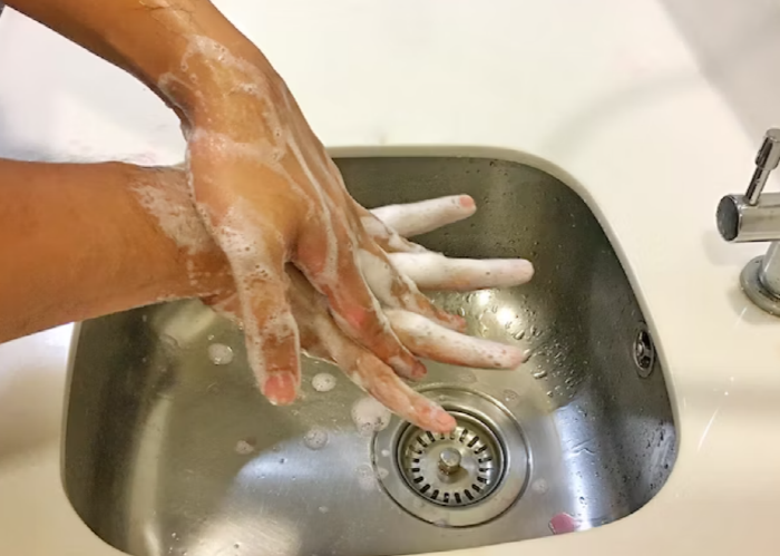 살모넬라균 예방, 계란 보관법