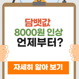 담뱃값 8000원 인상