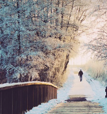 겨울철 무우보관법