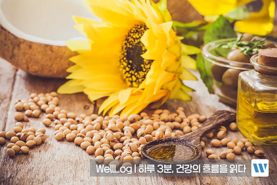 포스파티딜세린 추천 영양제