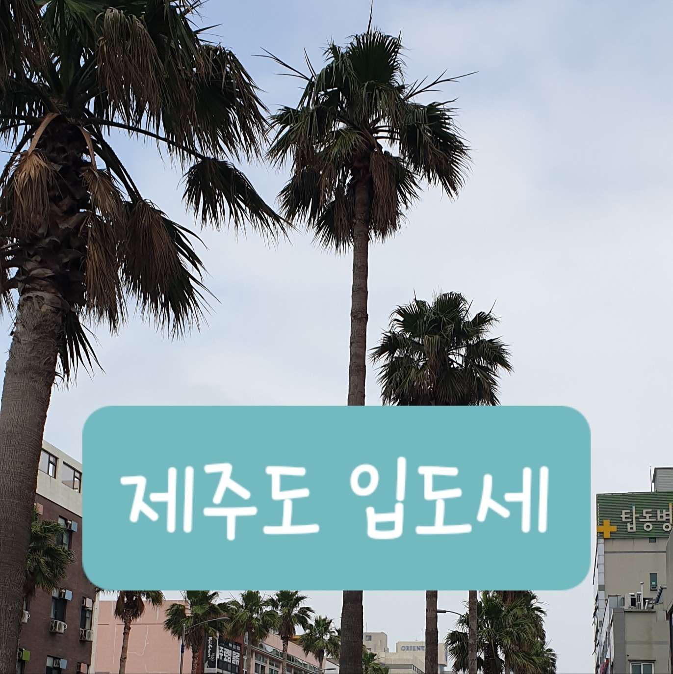 제주도 입도세