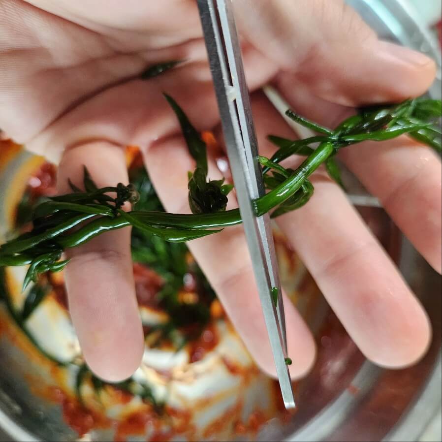 톳 손질 고추장 톳 무침 만드는 법 다이어트 음식 추천