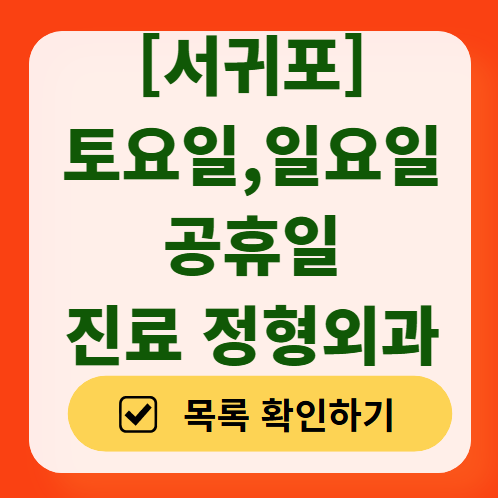 서귀포시 일요일 문 여는 정형외과 목록 ❘ 토요일, 주말, 공휴일 진료 영업 병원 리스트