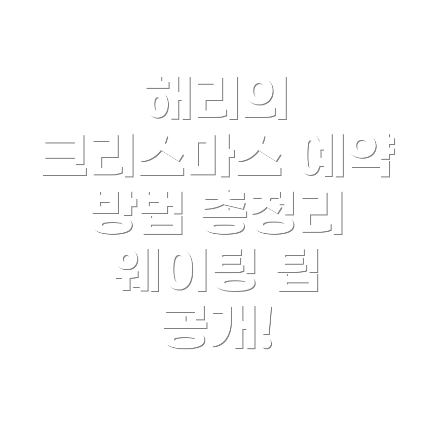 해리의 크리스마스 쇼