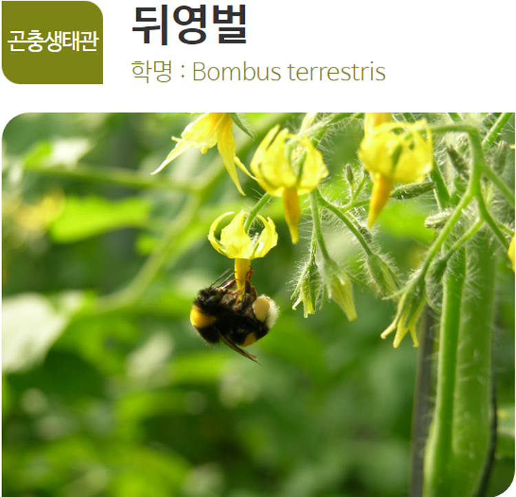 아산 생태곤충원