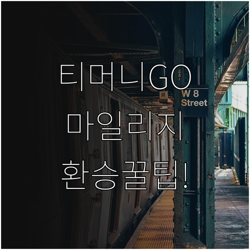 티머니GO 마일리지 적립법과 대중교통..