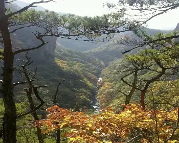 주왕산 국립공원 단풍_13