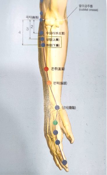 수양명대장경_상렴