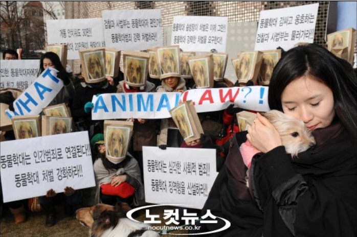 동물의 목소리를 대변해야 하는 이유