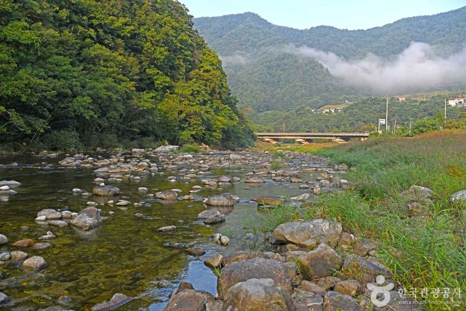 [강원도 여행지 추천] 인제 가볼만한 곳 베스트 10 아침가리계곡