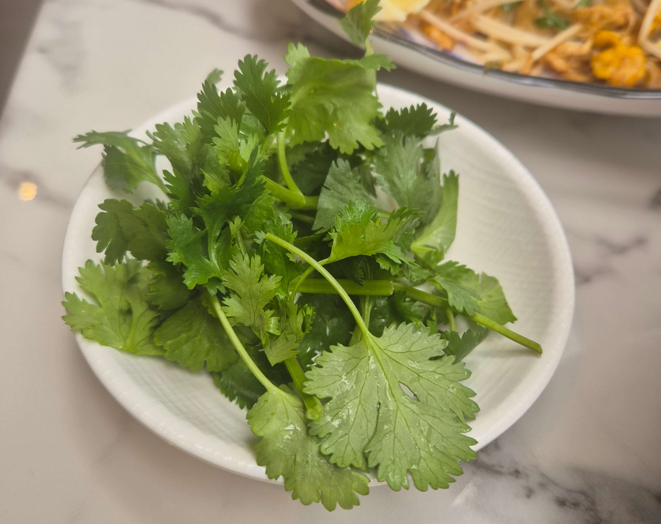 리틀 방콕, 고수