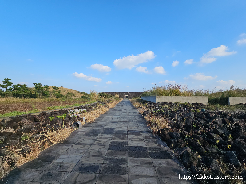 제주도 유민미술관