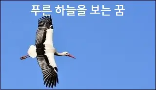 푸른 하늘을 보는 꿈