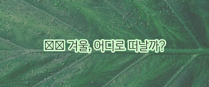 겨울 여행지 추천