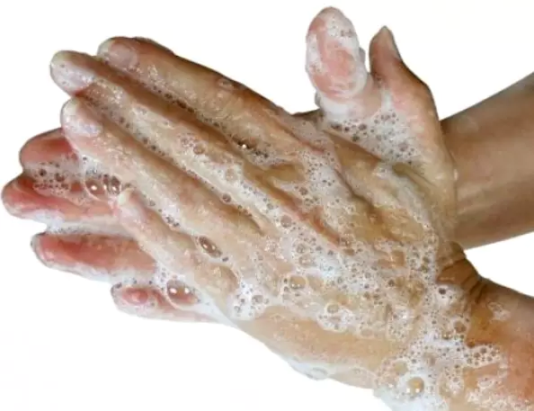 면역력을-높이는-방법-면역력에-좋은-음식-건강