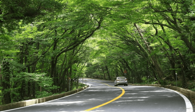 제주도-여행코스-2박3일-마방목지와-516도로