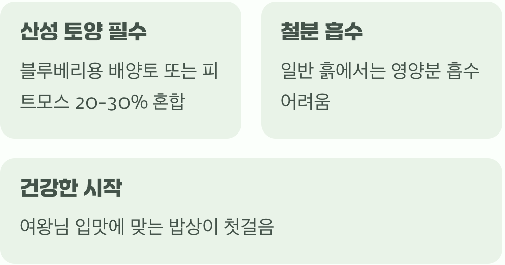 여왕님의 까다로운 입맛