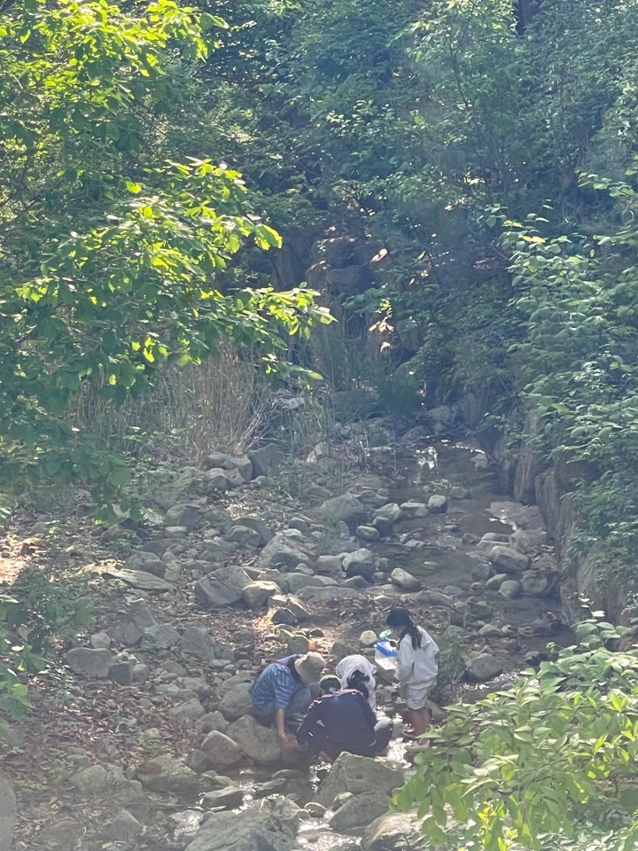 계곡전경