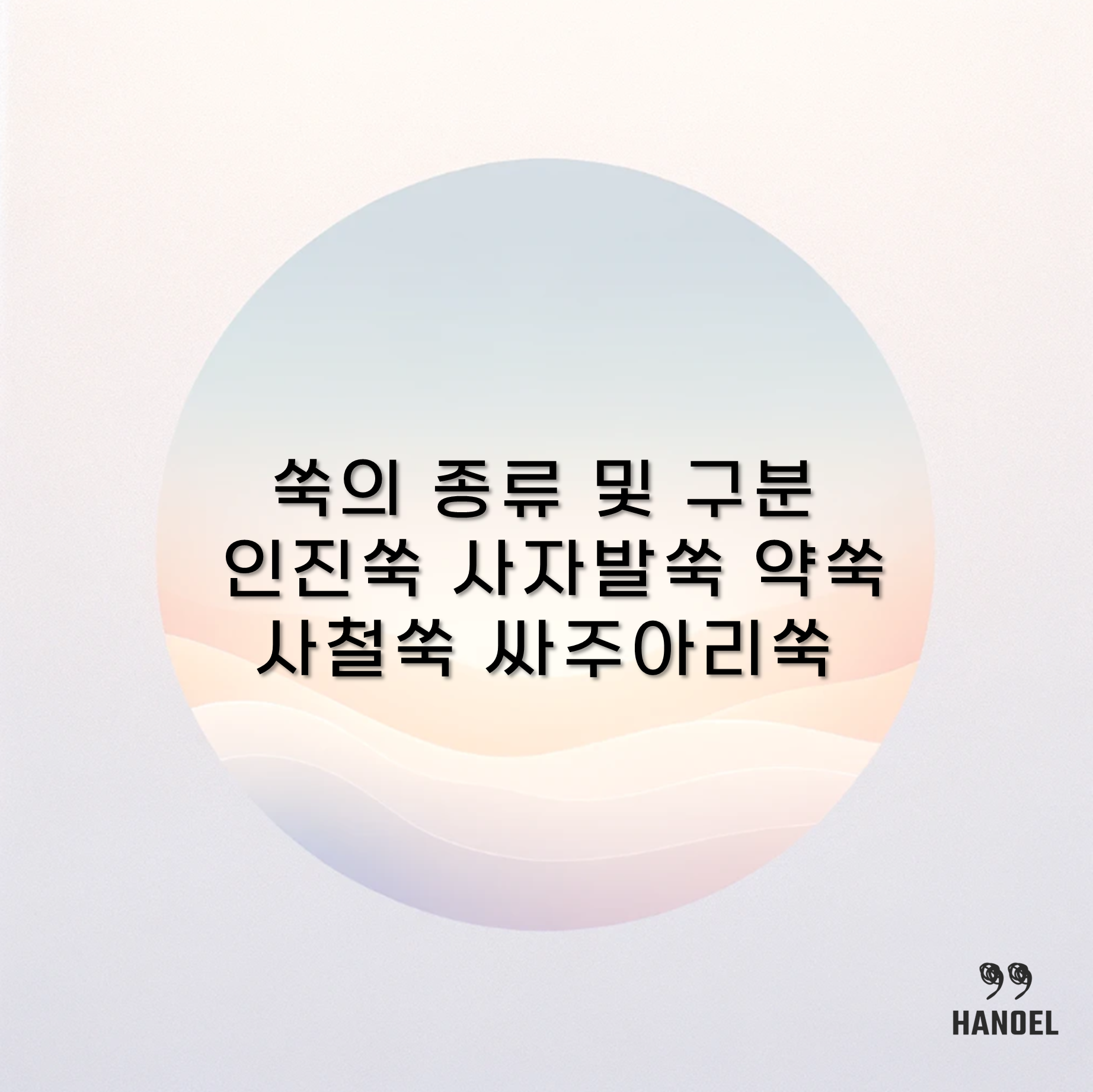 쑥의 종류 및 구분 인진쑥 사자발쑥 약쑥 사철쑥 싸주아리쑥
