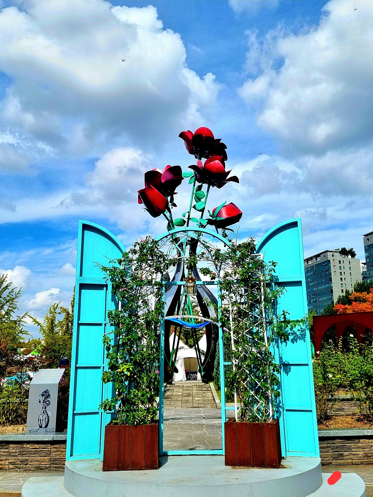 서울 근교 가을꽃 만발한, 경기도 고양시 강매석교공원 창릉천 코스모스축제