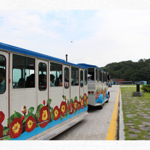 여수 오동도 방파제와 동백숲