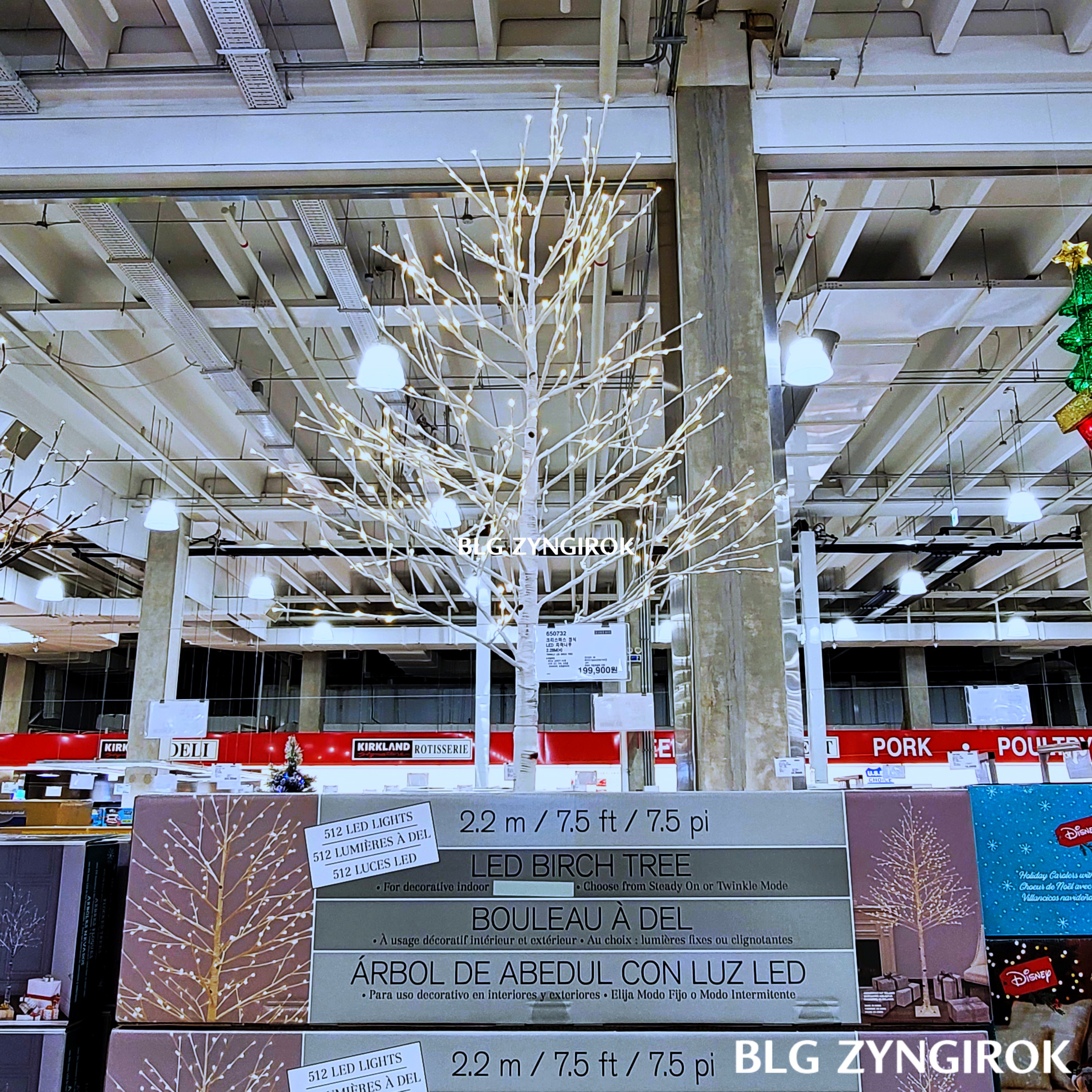크리스마스-LED-자작나무-모습이다.